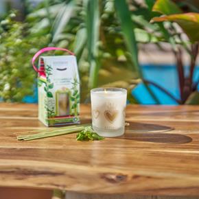 Přírodní vonná svíčka Esteban ve skle Lemongrass & Mint 180g