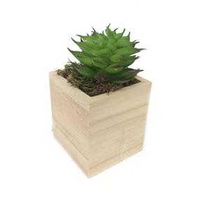 Kaktus v dřevěném květináčku 1