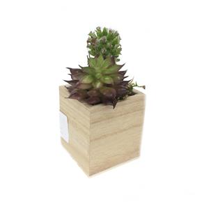 Kaktus v dřevěném květináčku 3