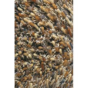 Moderní vlněný kusový koberec Spring 59101, béžový