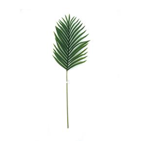 List palma zelený