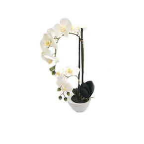 Orchidej v bílém květináčku