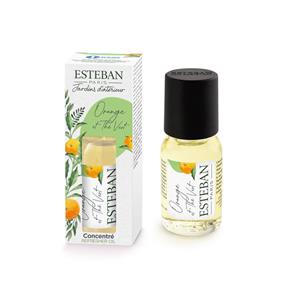 Esteban aroma olej Orange&Green Tea koncentrát