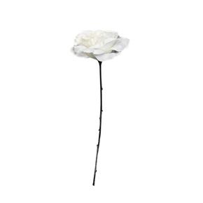 Bílá růže EDG 36 cm