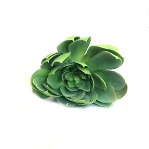 Umělá květina sukulent Echeveria