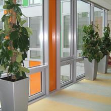 Realizace zeleně v interiéru